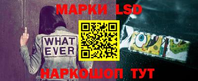 крисы Гагарин