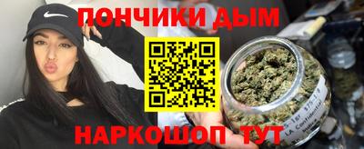крисы Гагарин