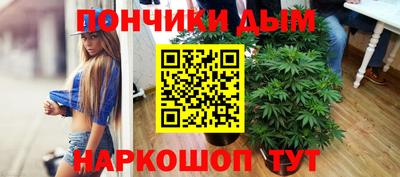 крисы Гагарин