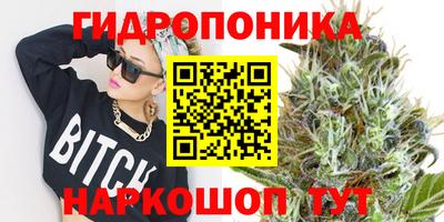 крисы Гагарин