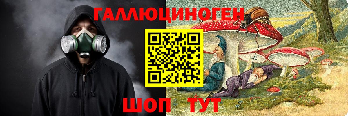 Псилоцибиновые грибы мицелий  Вход с VPN  Киселёвск 